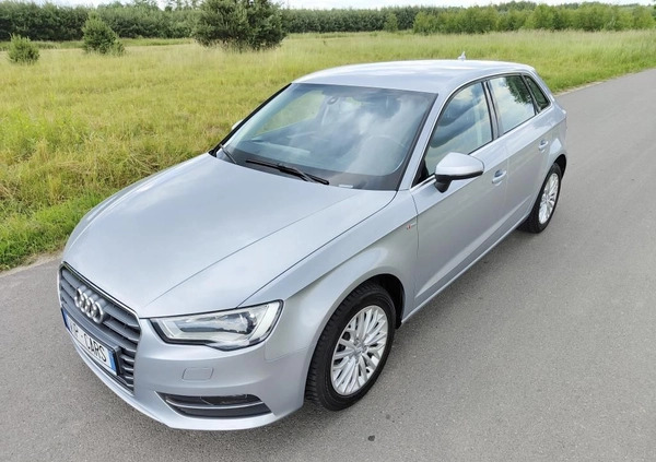 Audi A3 cena 49900 przebieg: 177800, rok produkcji 2015 z Janów Lubelski małe 781